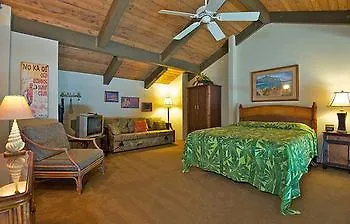 מלון Napili-Honokowai Papakea #B207 Studio Bedroom Condo By Redawning